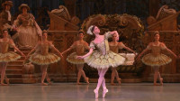 莫斯科大剧院，著名的芭蕾舞剧《仙女》，网友：一票难求