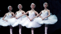 芭蕾舞《天鹅湖之四小天鹅》，同步率非常高，节奏干净利落