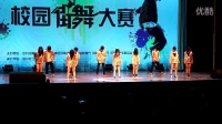 新乡学院参加河南省第十五届大学生科技文化艺术节街舞大赛视频