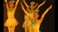  海南省第六届中小学生舞蹈汇报演出舞蹈表演全系列之海鸥飞翔-