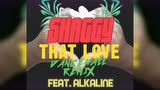 That Love (Dancehall Remix [Audio]) (Dancehall Remix [Audio])