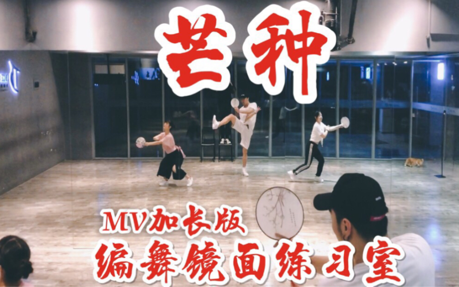 【白小白】《芒种》中国风爵士编舞镜面练习室（MV加长版）