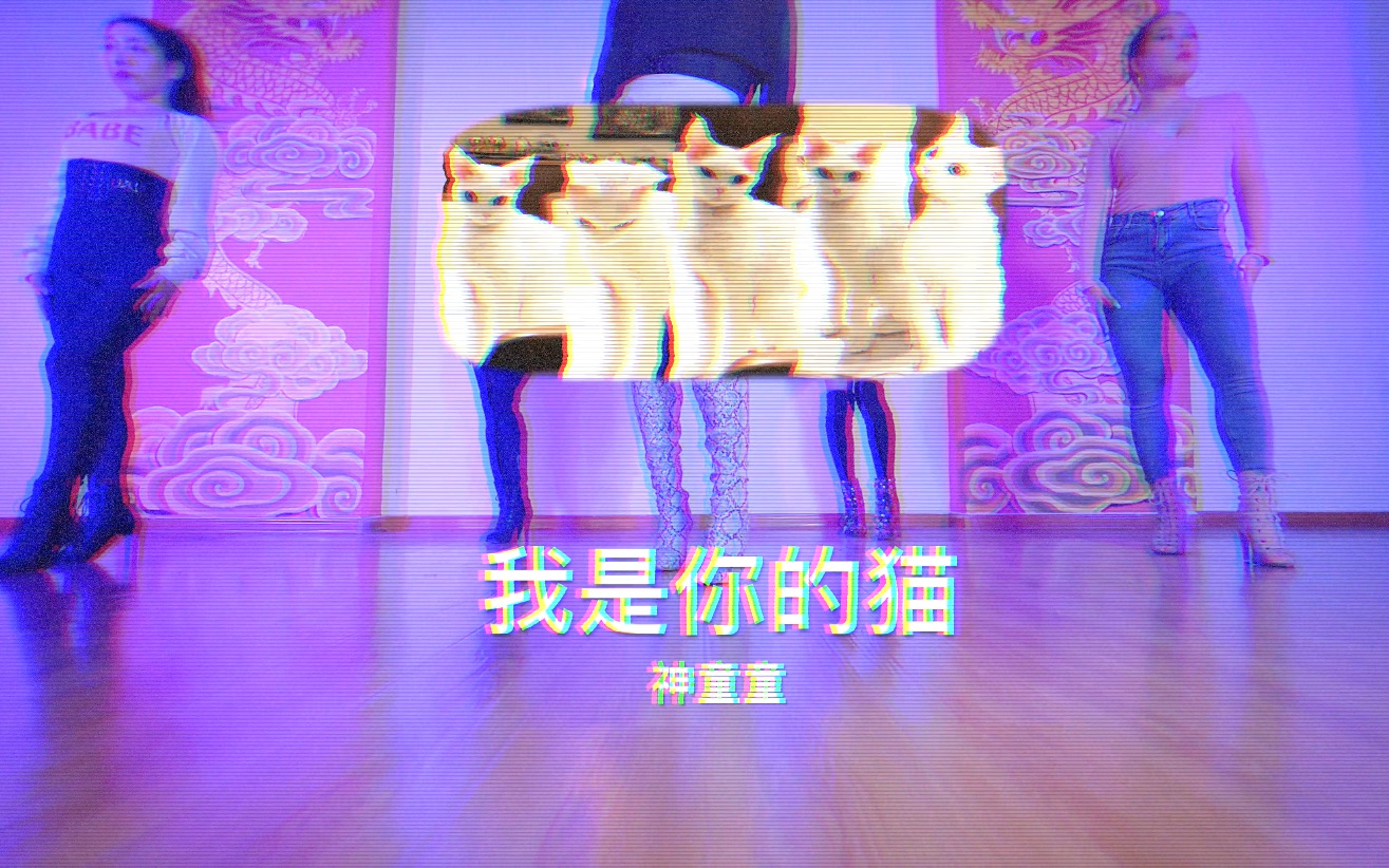 【童门舞蹈站】神童童编舞 我是你的猫