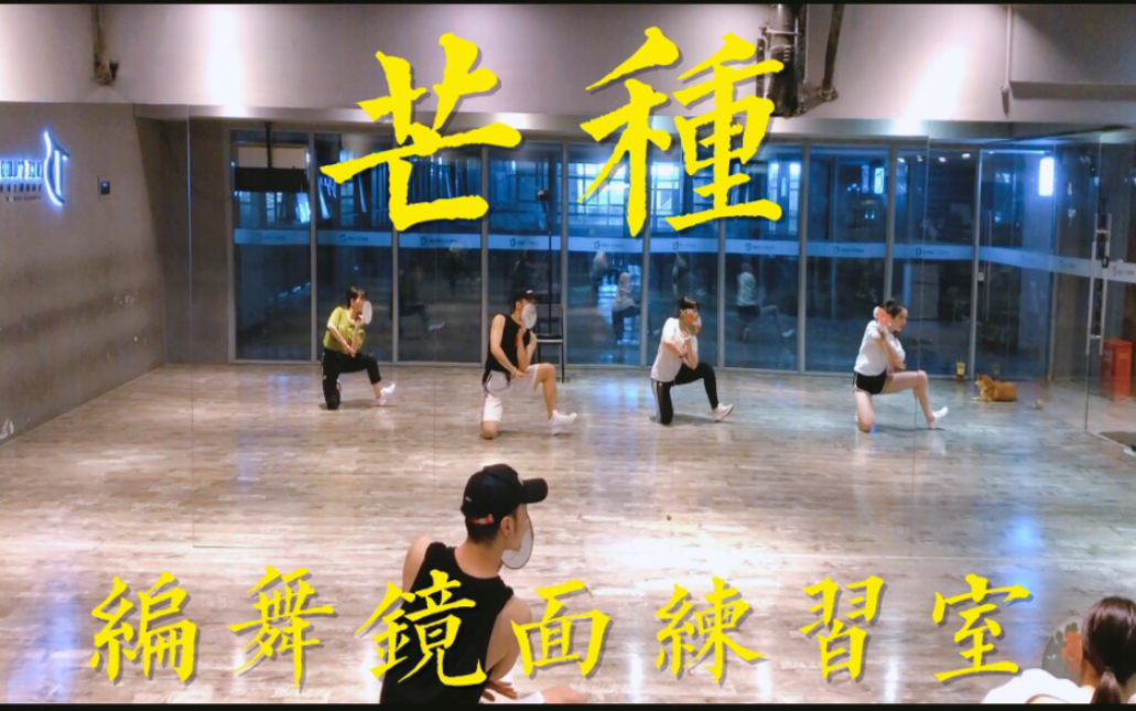 【白小白】《芒种》中国风爵士编舞镜面练习室