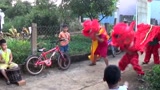 越南小孩狮子舞训练，台上一分钟台下十年功