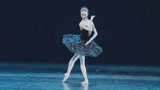 中国芭蕾的骄傲！17岁舞者夺得国际芭蕾金奖，中国时隔29年再夺冠