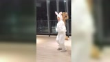 送上一只兔子舞