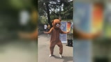 小熊熊popping老师  街头的小熊熊