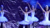 成卓文化-舒婷芭蕾晚会-群舞《天鹅》