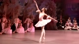 芭蕾舞最服俄罗斯的，这段《胡桃夹子》跳的太美了，简直无可挑剔！