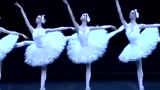 绝美芭蕾舞《天鹅湖之四小天鹅》，当世最美八条腿，太惊艳了！