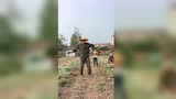 最近这个视频火了！农村小伙在田里跳霹雳舞！这步伐真是厉害了！