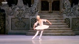 芭蕾-糖果仙女变奏-9个版本