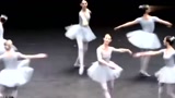 超搞笑的芭蕾舞, 在一群白天鹅里混进了一只逗比。
