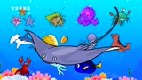 海洋动物 鲨鱼海豚乌龟海马小丑鱼