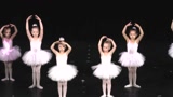 这是我见过最萌的芭蕾舞团，真是现实版的“小天鹅”
