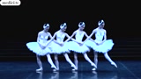 芭蕾舞者完美演绎《天鹅湖》，婀娜多姿的舞蹈让人沉醉，观众掌声不断