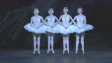 英国皇家芭蕾舞团《天鹅湖》·si