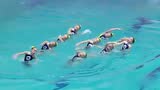花样游泳比赛，女孩们的“水中芭蕾”获得全场最高分