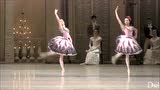 芭蕾舞学院 瓦冈诺娃