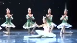 少儿芭蕾舞视频花仙子少儿芭蕾舞获奖精选