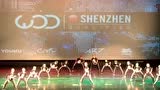 世界街舞大赛WOD2017-深圳赛区亚军比赛视频