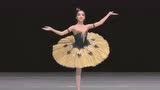 一段芭蕾舞，翩翩起舞的小天鹅是那么的优雅！