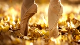 女孩金色森林里，舞动芭蕾，好美啊！