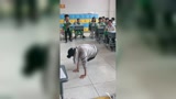 小学生VS 英语老师，breaking教室尬舞！
