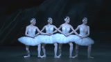 《天鹅湖》芭蕾舞功底确实厉害, 女孩们像仙女翩翩起舞