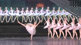 G20杭州峰会水上芭蕾舞剧《天鹅湖》