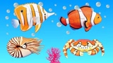 组装海洋小动物小螃蟹小丑鱼玩具