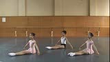 芭蕾基训--腿的外开练习