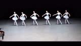 芭蕾舞天鹅湖搞笑版？
