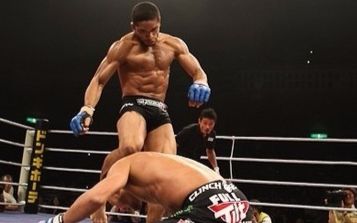 【MMA综合格斗】2015年最佳K.O