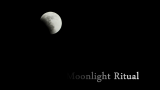 【FL练习】雷鬼曲Moonlight Ritual Riddim